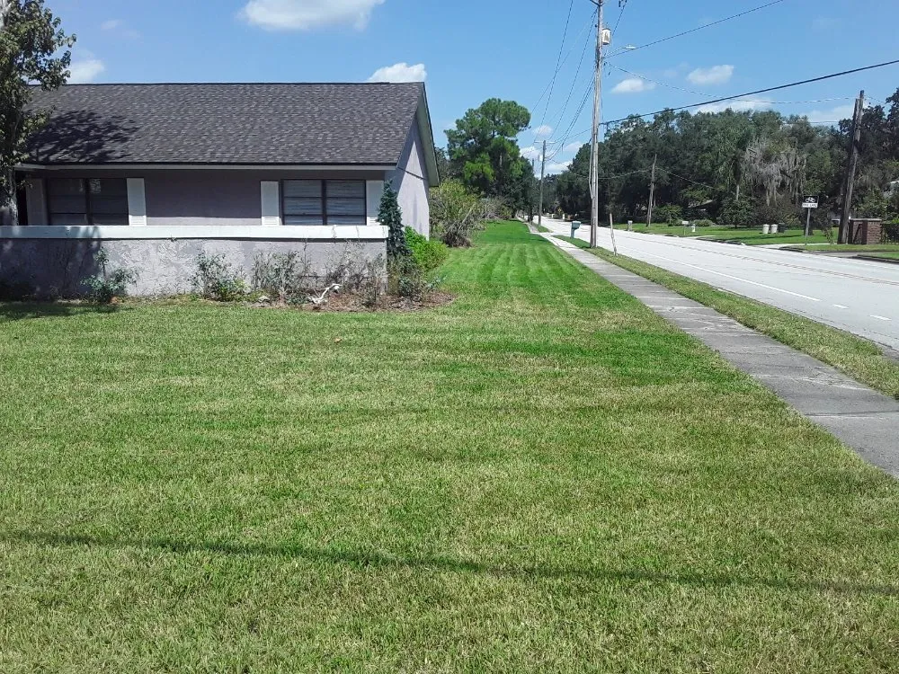 Reliable yard maintenance experts serving Tampa Bay, FL - JH Landscaping