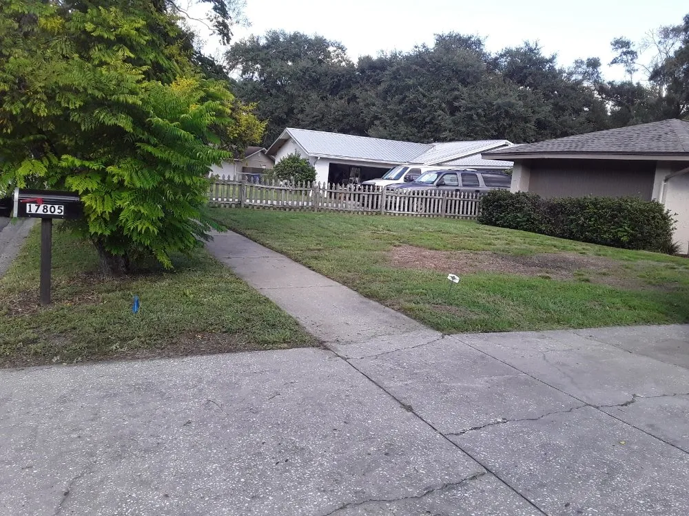 Top-rated landscape design in Tampa Bay, FL - JH Landscaping