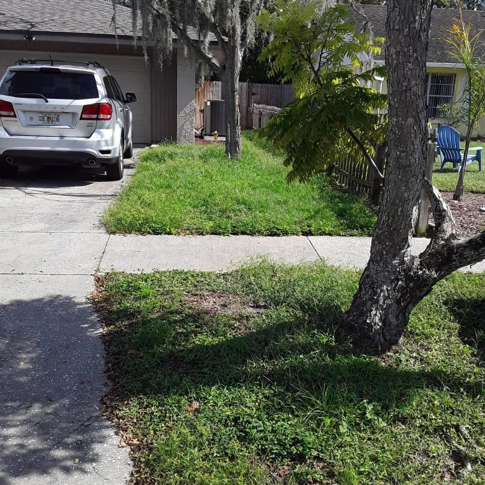 Trusted outdoor landscaping in Tampa Bay, FL - JH Landscaping