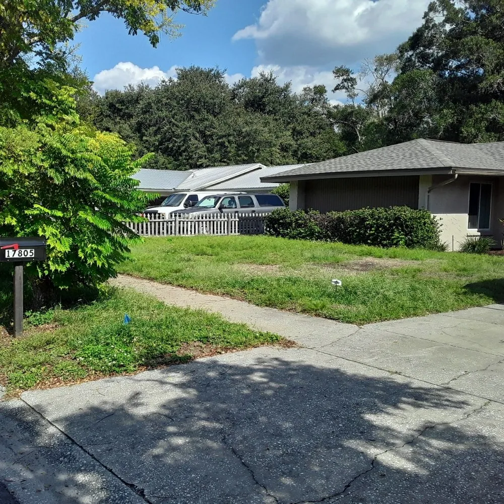 Reliable lawn care service in Tampa Bay, FL - JH Landscaping