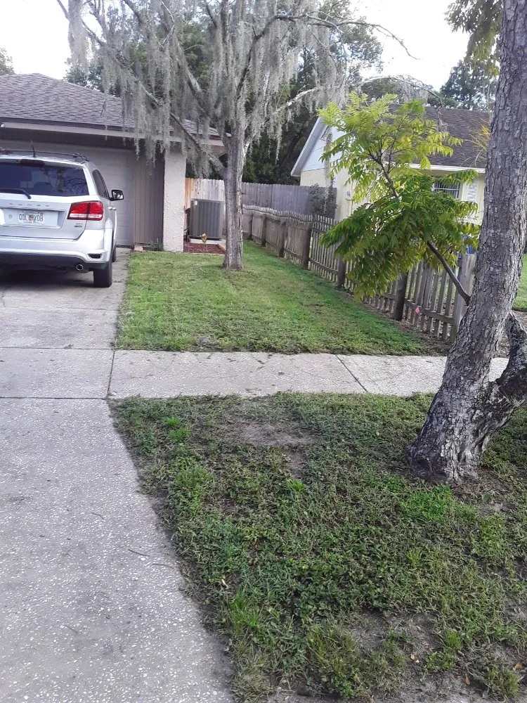 Affordable landscape installation in Tampa Bay, FL - JH Landscaping