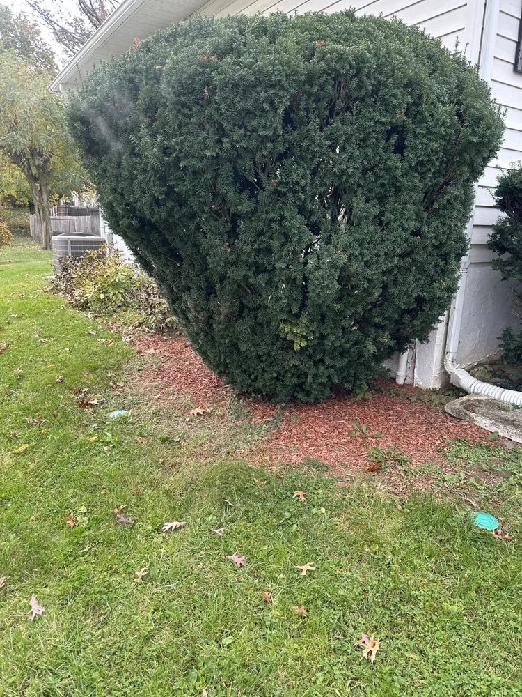 Top-rated landscaping services near you across Glen Burnie, MD - J&H Landscaping Tree Service