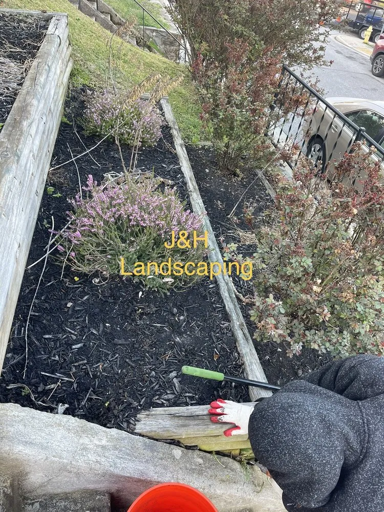 Local yard cleanup service experts serving Glen Burnie, MD - J&H Landscaping Tree Service