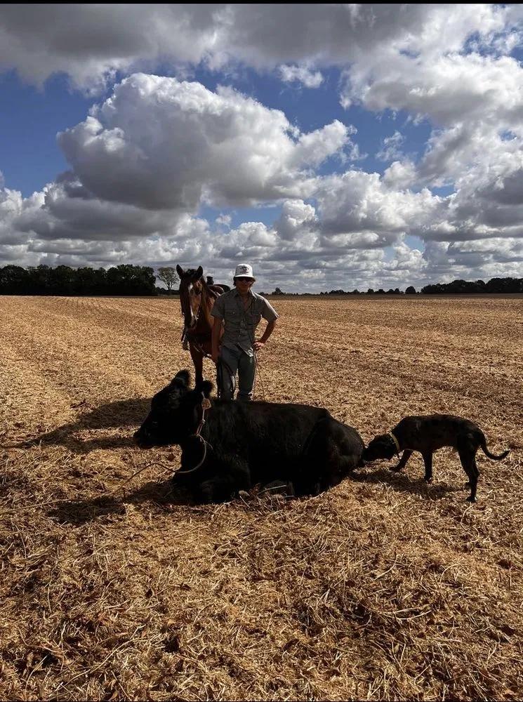 Local lawn care service in Granite City, IL by JH Lawn Care