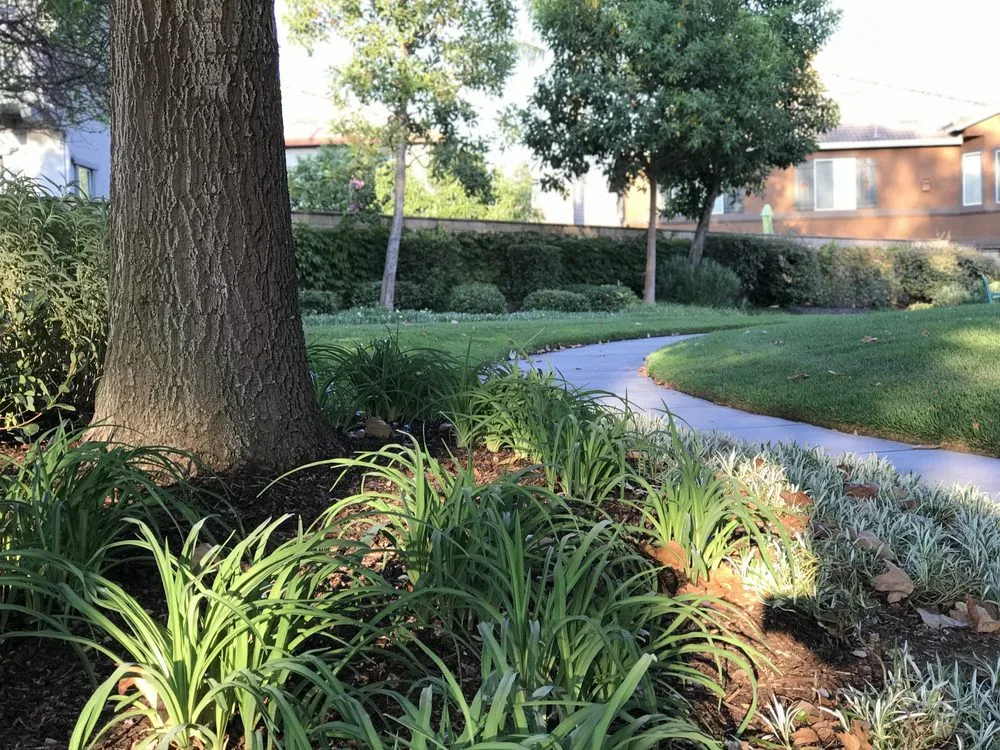 Expert landscaping services experts serving Rancho Cucamonga, CA - JH Lawn Care