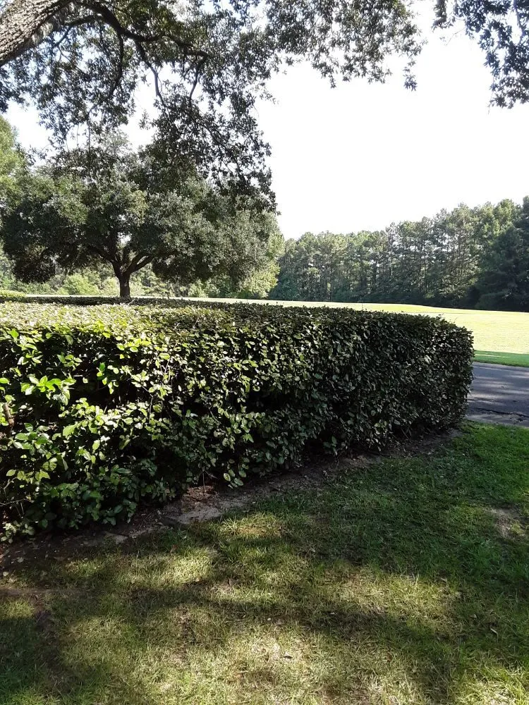 Custom residential landscaping experts serving Laurel, MS - J&H Lawn Care Services