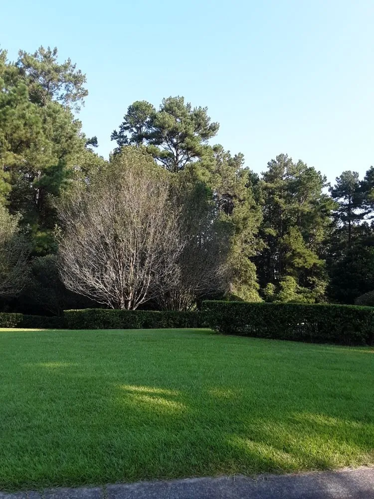 Trusted garden landscaping for beautiful yards in Laurel, MS by J&H Lawn Care Services
