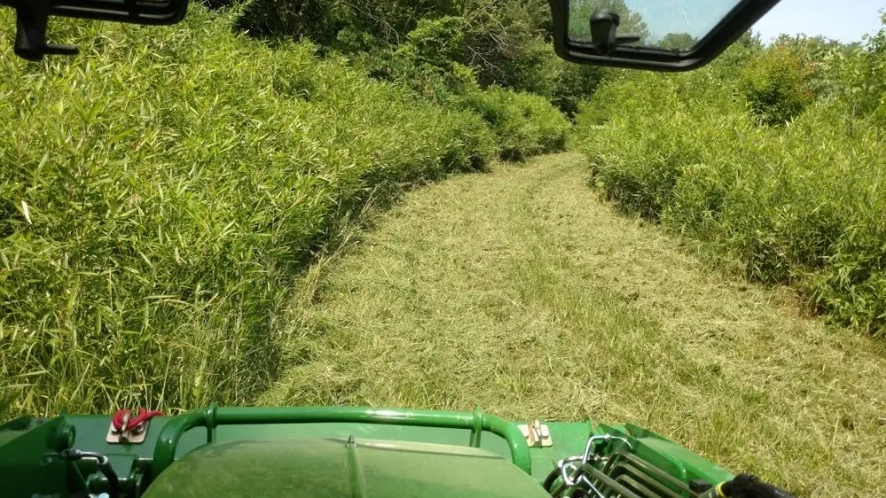 Top-rated outdoor landscaping in Victoria, TX by JH Lawn Care