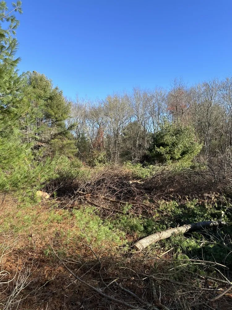 Local residential landscaping in Jewett City, CT - JH Outdoor Services