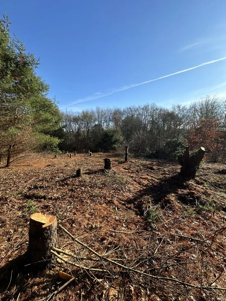 Local garden landscaping in Jewett City, CT - JH Outdoor Services