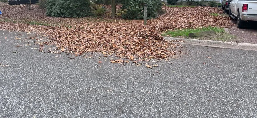 Affordable landscaping services in Vineland, NJ by JH Outdoor Services