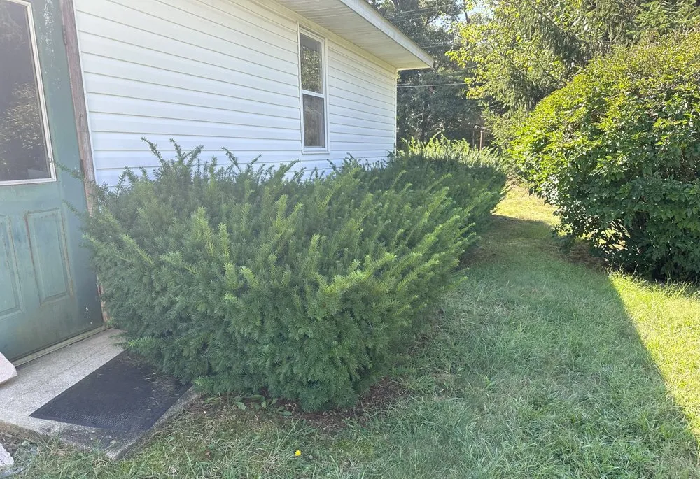 Top-rated residential landscaping for residential properties in Vineland, NJ by JH Outdoor Services