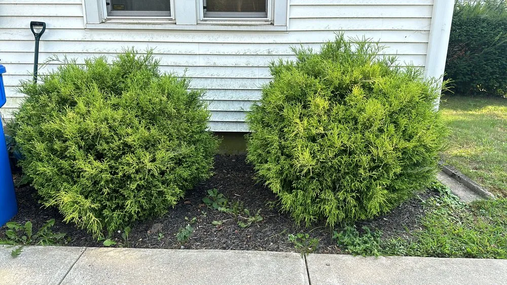 Professional garden landscaping near you in Vineland, NJ by JH Outdoor Services