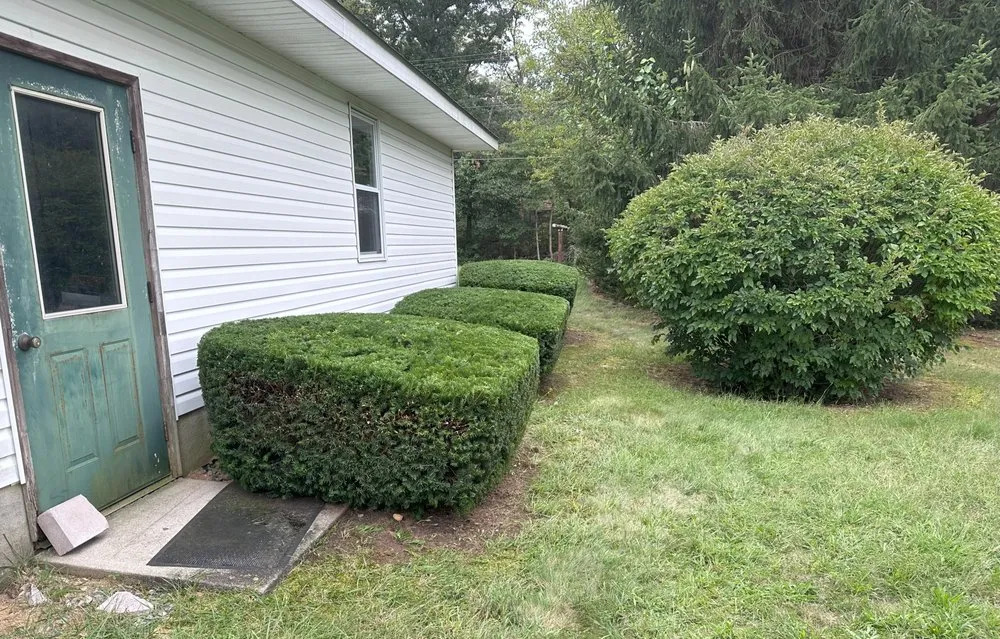 Local yard cleanup service in Vineland, NJ by JH Outdoor Services