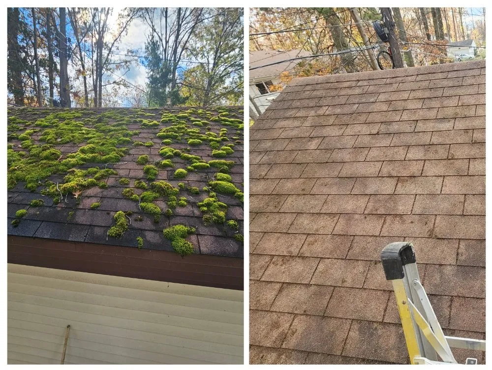 Expert landscape installation for residential properties in Ashtabula, OH by J&H Property Maintenance