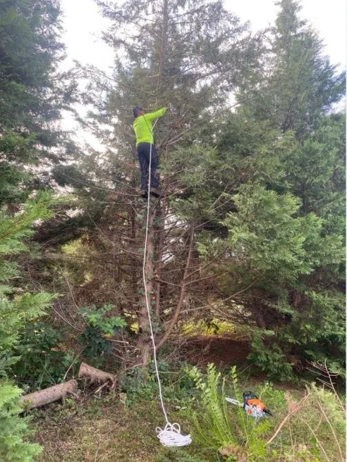 Top-rated landscaping services for year-round maintenance in Manchester, TN by J&H Quality Lawn & Landscaping