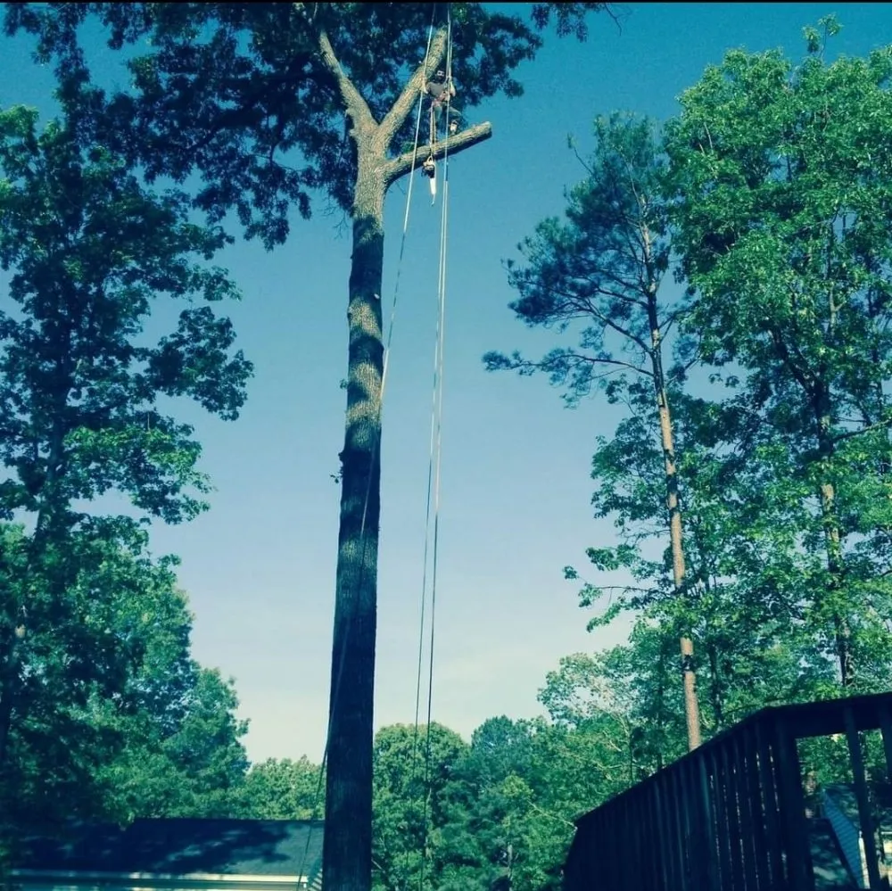 Expert garden landscaping in Richmond, VA - J&H Tree Services