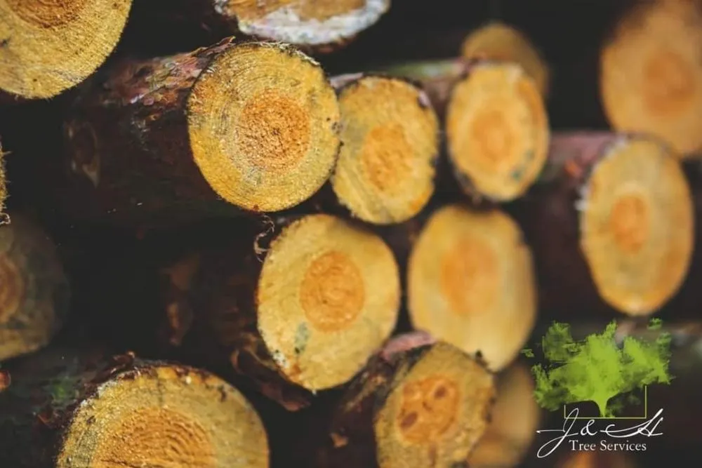 Affordable garden landscaping in Richmond, VA by J&H Tree Services