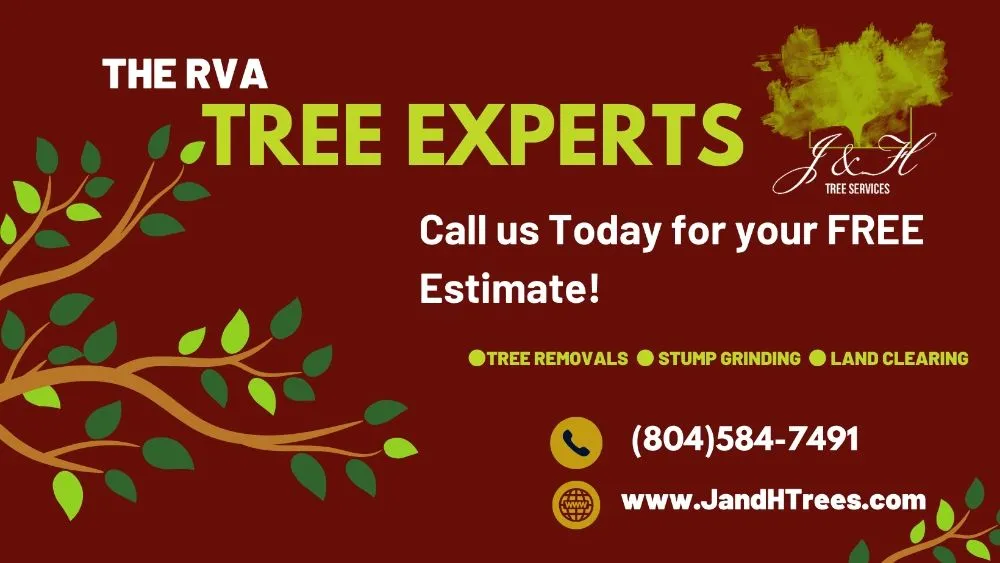 Local landscape installation for homes in Richmond, VA by J&H Tree Services