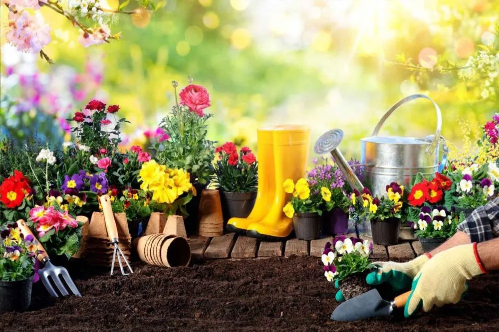 Affordable yard maintenance in Fort Pierce, FL by Jhavar Lawn Services