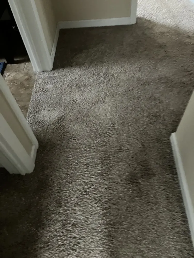 Expert landscaping services in Elyria, OH - Jhdlawncare & More