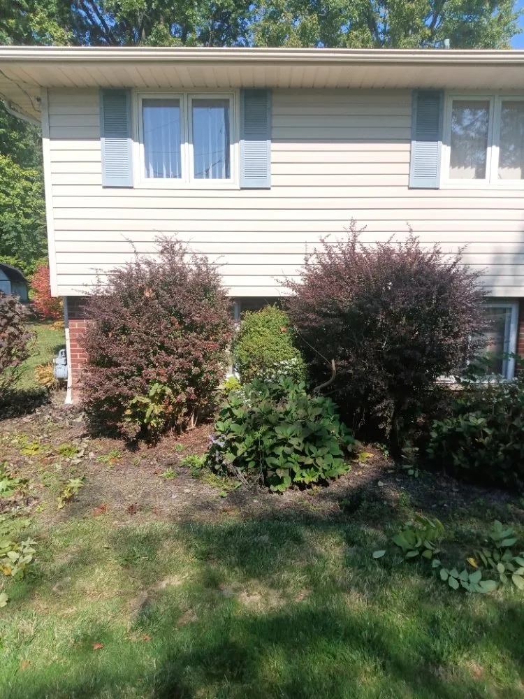 Local landscape design experts serving Elyria, OH - Jhdlawncare & More