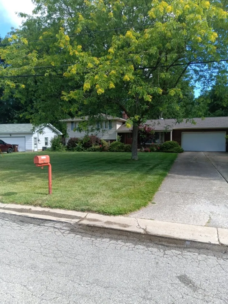 Custom yard cleanup service experts serving Elyria, OH - Jhdlawncare & More