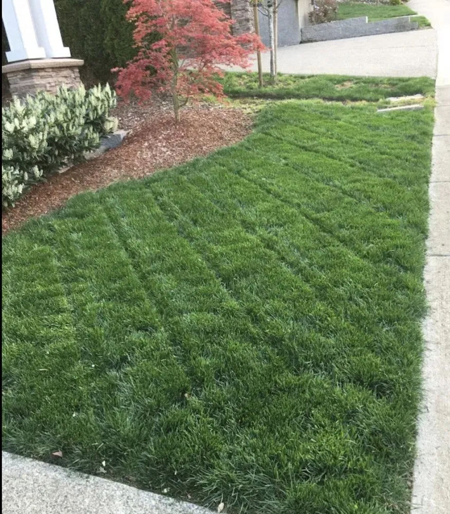 Trusted landscape installation for residential properties in Cincinnati, OH by JHF Landscaping