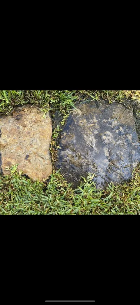 Custom yard maintenance in College Station, TX - JHJ Wash & Landscape