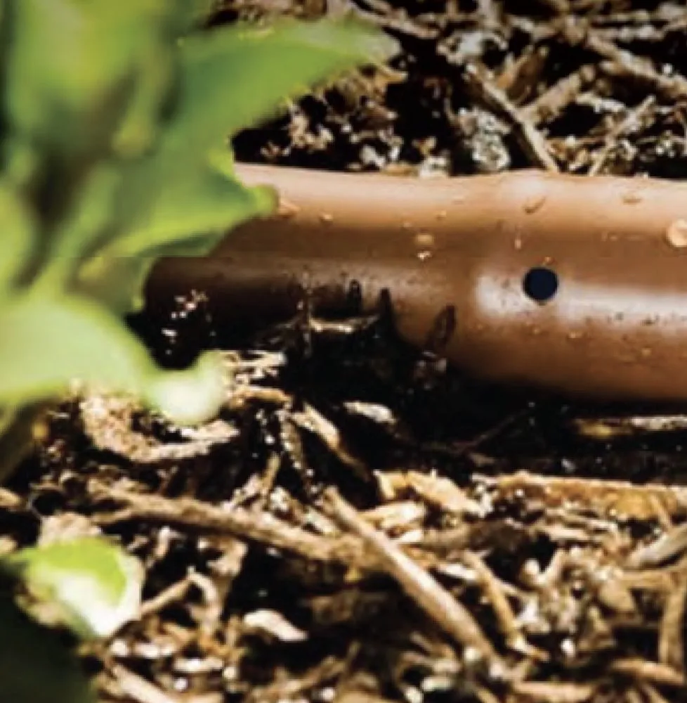 Affordable lawn care service experts serving Monrovia, CA - JHM Landscape Supply