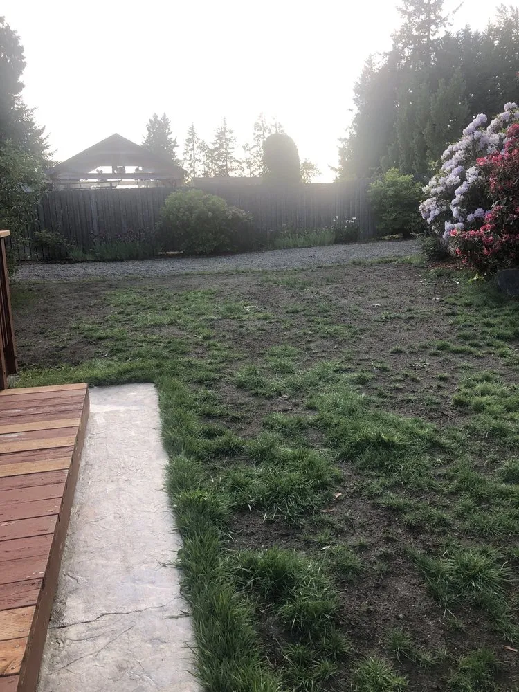 Top-rated yard maintenance for homes across Federal Way, WA - Jhoans Landscaping