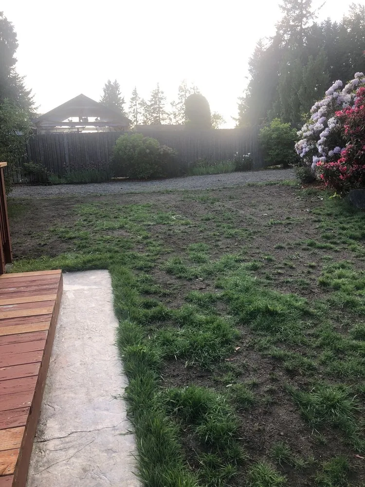 Custom yard maintenance in Federal Way, WA - Jhoans Landscaping