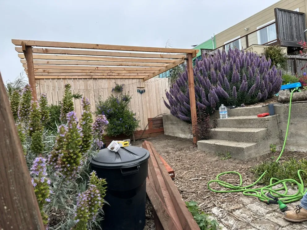 Top-rated lawn care service in Daly City, CA - Jhonix Handyman