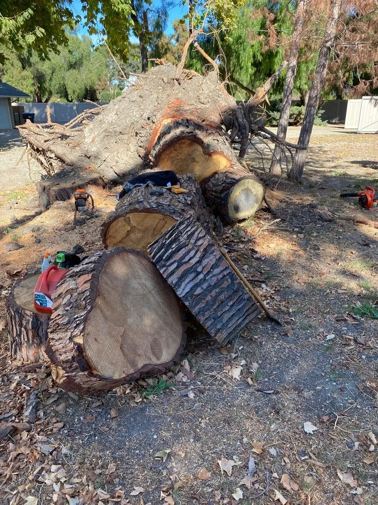 Affordable lawn care service for beautiful yards in Lompoc, CA by Jhonny’s Tree Service