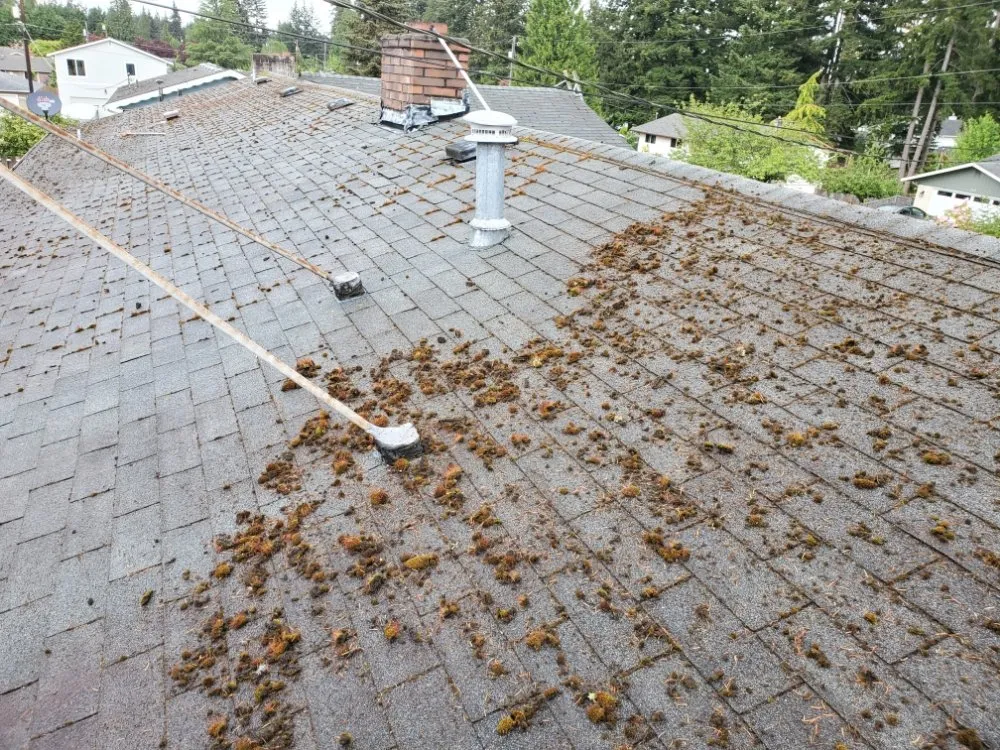 Trusted garden landscaping in Mill Creek, WA by Jhon's Cleaning Services