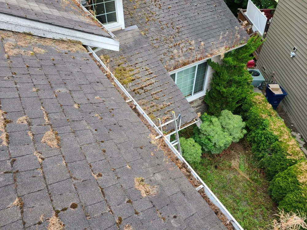 Local outdoor landscaping with custom design in Mill Creek, WA by Jhon's Cleaning Services