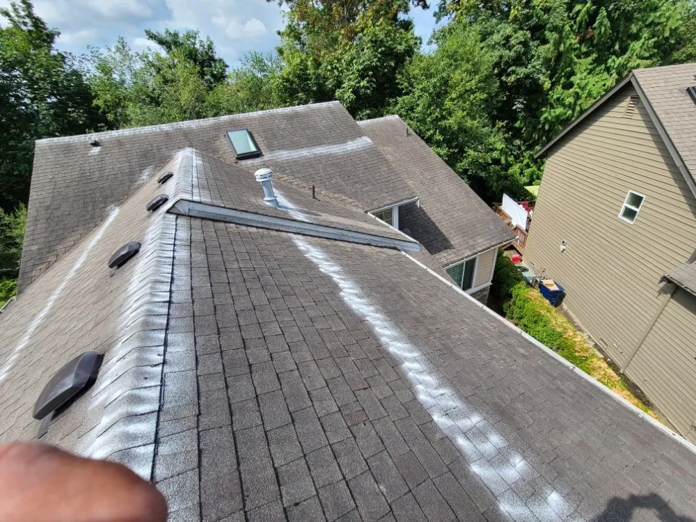 Trusted lawn care service in Mill Creek, WA by Jhon's Cleaning Services