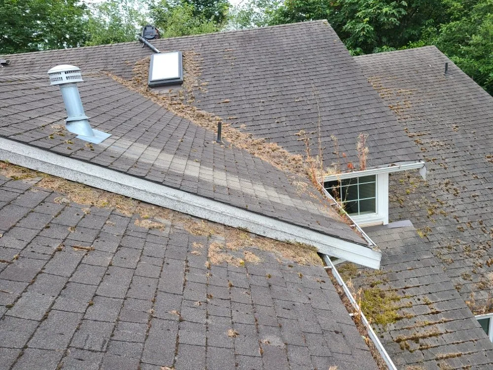 Trusted garden landscaping with custom design across Mill Creek, WA - Jhon's Cleaning Services