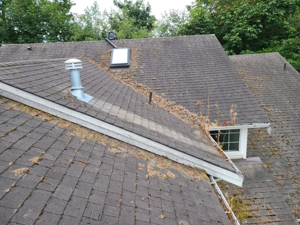 Affordable garden landscaping experts serving Mill Creek, WA - Jhon's Cleaning Services