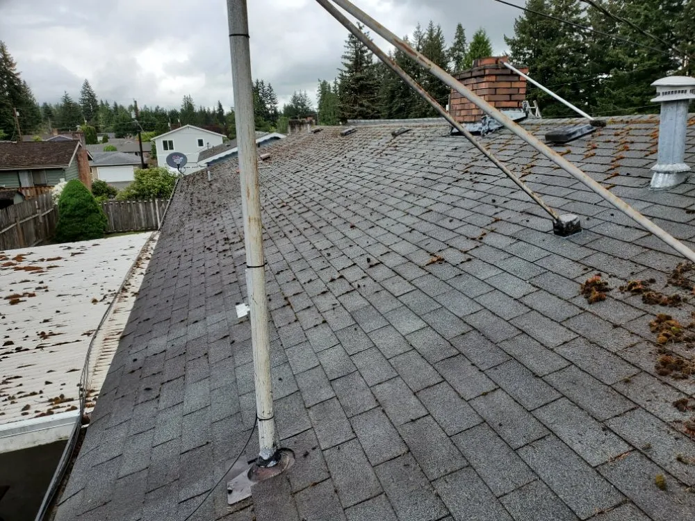 Local garden landscaping near you in Mill Creek, WA by Jhon's Cleaning Services