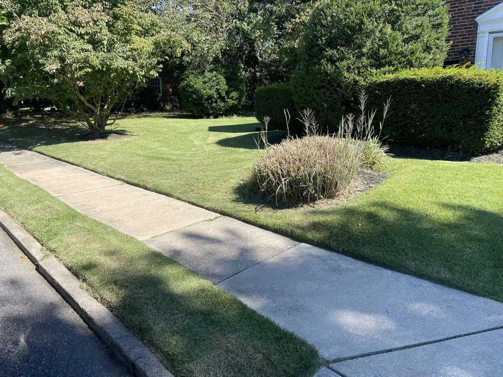 Professional yard maintenance in Camden, NJ by Jhon’s Landscaping