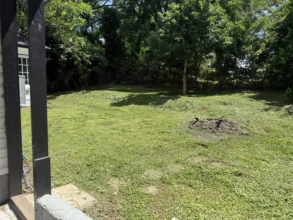 Professional yard cleanup service in Spartanburg, SC - Jhostin Landscaping