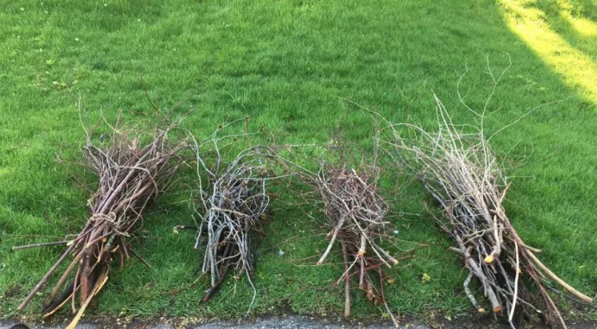 Reliable yard cleanup service for outdoor upgrades across North Reading, MA - JHR Contracting