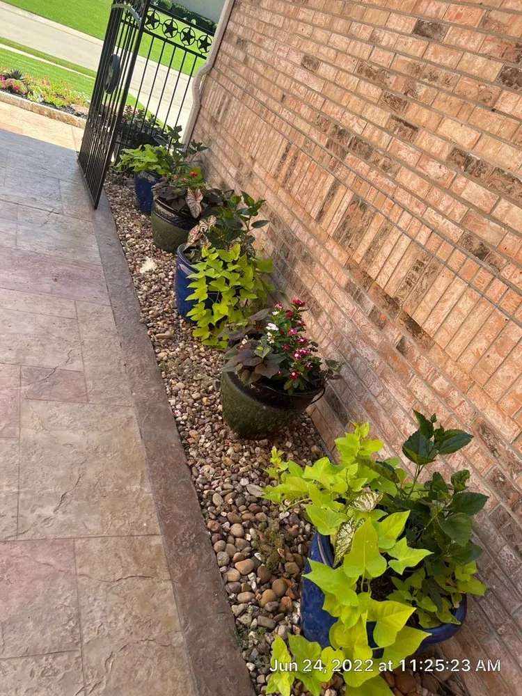 Trusted yard maintenance for year-round maintenance in Watauga, TX by J&HS Landscape
