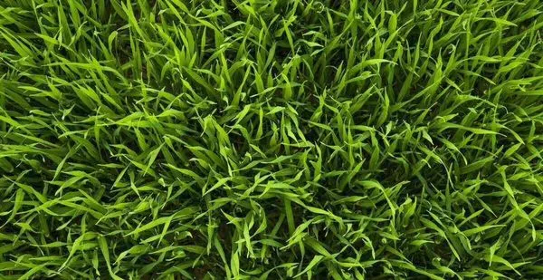 JHubbard Landscaping Logo