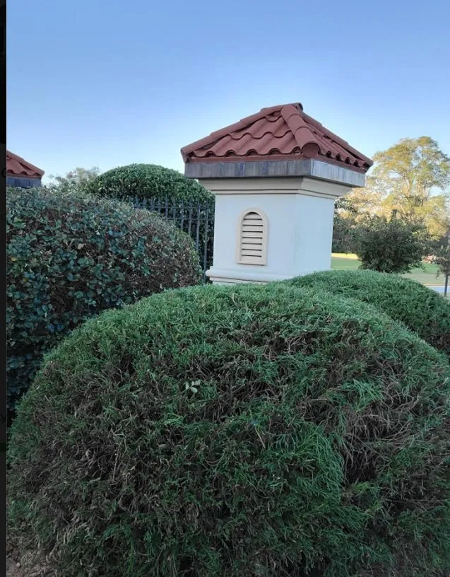 Reliable yard maintenance for homes in Laurens, SC by J&I Landscaping