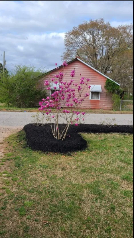 Reliable residential landscaping for beautiful yards across Laurens, SC - J&I Landscaping