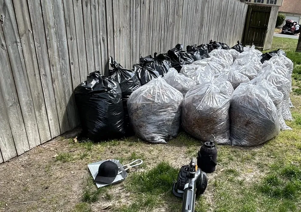 Trusted landscaping services in Newport News, VA - Jiffy Lawn