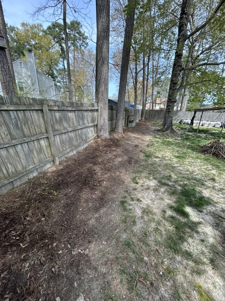 Custom lawn mowing service for year-round maintenance across Newport News, VA - Jiffy Lawn