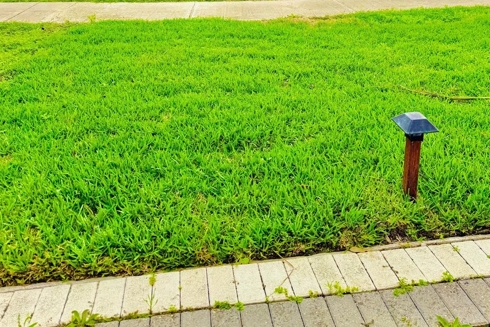 Affordable outdoor landscaping experts serving Brownsville, TX - JIJ Lawn Care